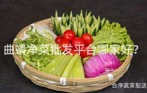 曲靖净菜批发平台哪家好？