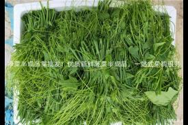 净菜半成品菜批发：优质新鲜蔬菜半成品，一站式采购服务