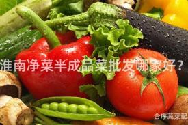 淮南净菜半成品菜批发哪家好？