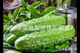 深圳净菜批发市场在哪里？