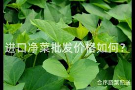 进口净菜批发价格如何？