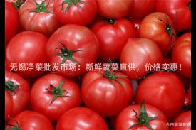 无锡净菜批发市场：新鲜蔬菜直供，价格实惠！