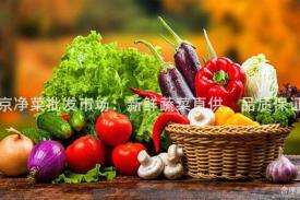 北京净菜批发市场：新鲜蔬菜直供，品质保证！