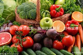 南通崇川区净菜批发：新鲜优质蔬菜，价格实惠！
