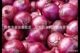 销售净菜设备批发，让你的生鲜店更有竞争力！