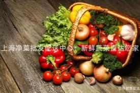 上海净菜批发配送中心：新鲜蔬菜直达您家