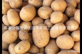 哪家公司提供优质净菜加工设备批发服务？