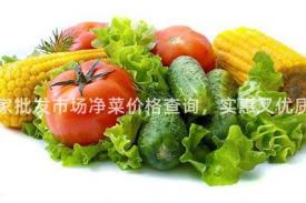 白家批发市场净菜价格查询，实惠又优质！