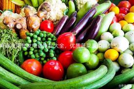 寿春净菜批发电话地址大全，优质蔬菜直供，价格实惠！