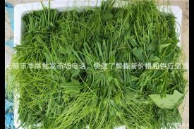无锡市净菜批发市场电话，快速了解最新价格和供应信息