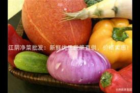 江阴净菜批发：新鲜优质蔬菜直供，价格实惠！