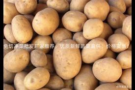 免切净菜批发厂家推荐，优质新鲜蔬菜直供，价格实惠！