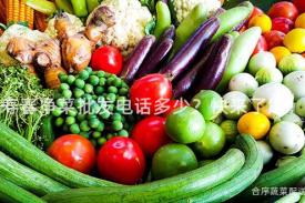 寿春净菜批发电话多少？快来了解！