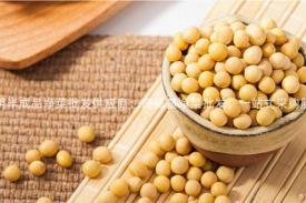 昆明半成品净菜批发供应商：高质量净菜批发，一站式采购服务