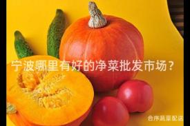 宁波哪里有好的净菜批发市场？