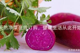 天然净菜在线订购，健康生活从此开始