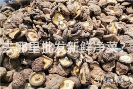 去哪里批发新鲜净菜？