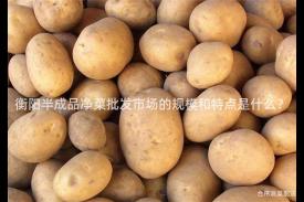 衡阳半成品净菜批发市场的规模和特点是什么？