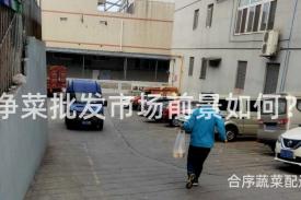 净菜批发市场前景如何？
