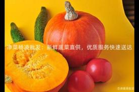 净菜杨凌批发：新鲜蔬菜直供，优质服务快速送达