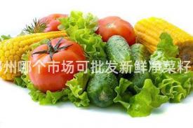 郑州哪个市场可批发新鲜净菜籽？