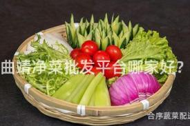曲靖净菜批发平台哪家好？