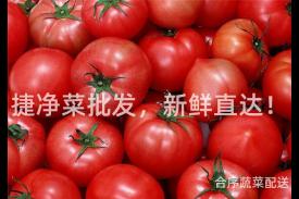 捷净菜批发，新鲜直达！