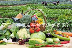 安庆净菜批发平台电话是多少？