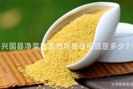 兴国县净菜批发市场管理电话是多少？
