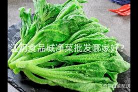 江阴食品城净菜批发哪家好？