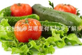 北辰批发净菜哪里有？快来了解！