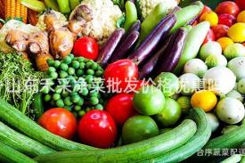 山东禾采净菜批发价格优惠吗？
