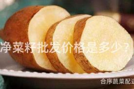 净菜籽批发价格是多少？