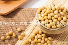 净菜籽批发：优质菜籽油原料，价格实惠！