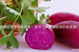 滨海批发净菜找哪家？推荐几家值得信赖的批发商！