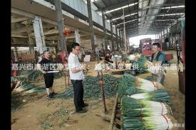 嘉兴市南湖区净菜批发：新鲜蔬菜直供，价格实惠！