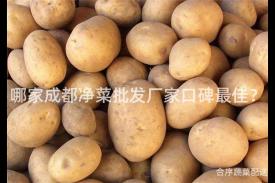 哪家成都净菜批发厂家口碑最佳？