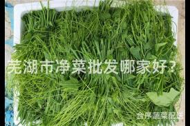 芜湖市净菜批发哪家好？