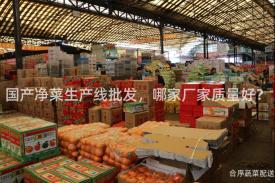 国产净菜生产线批发，哪家厂家质量好？