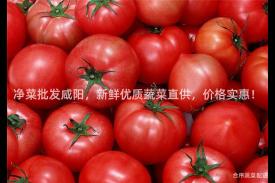净菜批发咸阳，新鲜优质蔬菜直供，价格实惠！
