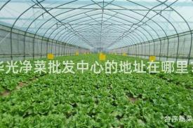 华光净菜批发中心的地址在哪里？