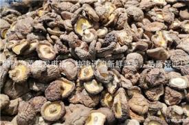 铜陵净菜批发电话：快速订购新鲜蔬菜，品质保证！