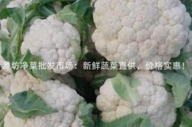 潍坊净菜批发市场：新鲜蔬菜直供，价格实惠！