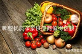 哪些优质净菜供应商值得信赖？
