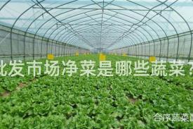 批发市场净菜是哪些蔬菜？