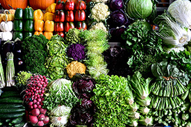 净菜配送工厂：为您提供新鲜健康的蔬菜配送服务