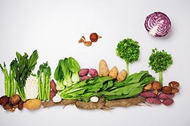 餐厅配送蔬菜：新鲜健康，方便快捷！