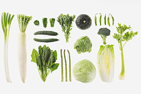 净菜加工基地：打造健康美味的绿色食品制造中心