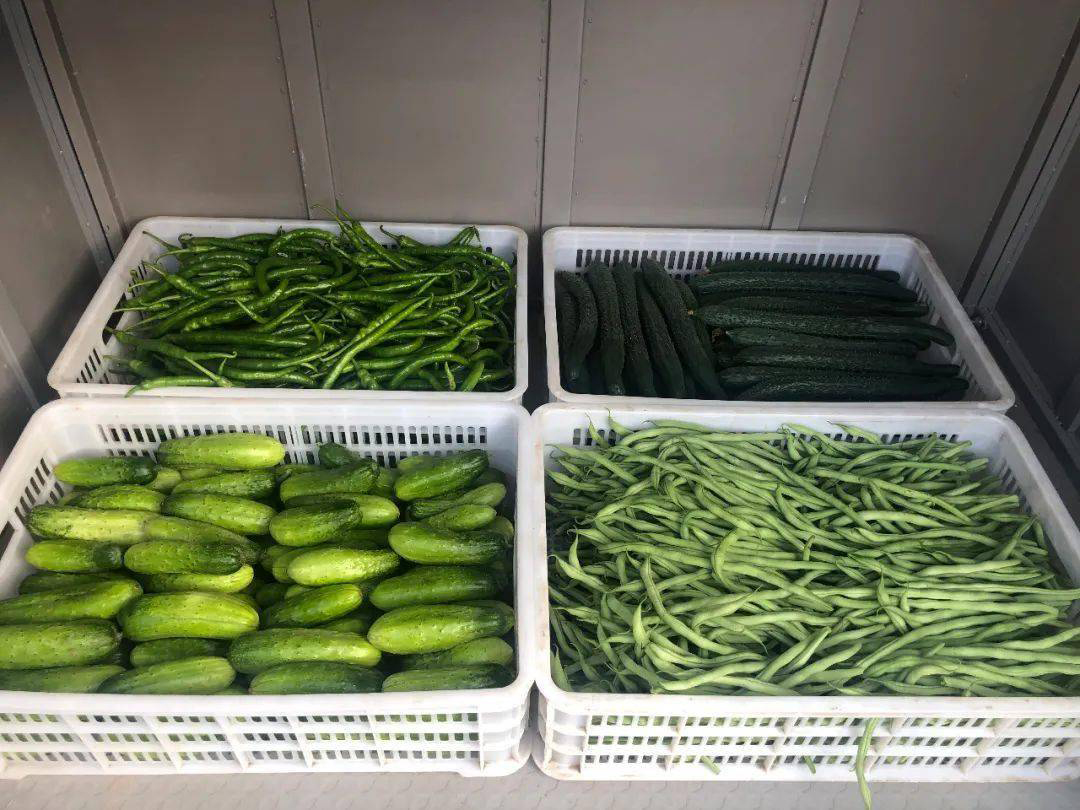 重庆江北高档蔬菜配送中心：为您提供优质蔬菜的专业配送服务