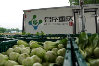 蔬菜配送哪家好？推荐几家优质服务商！